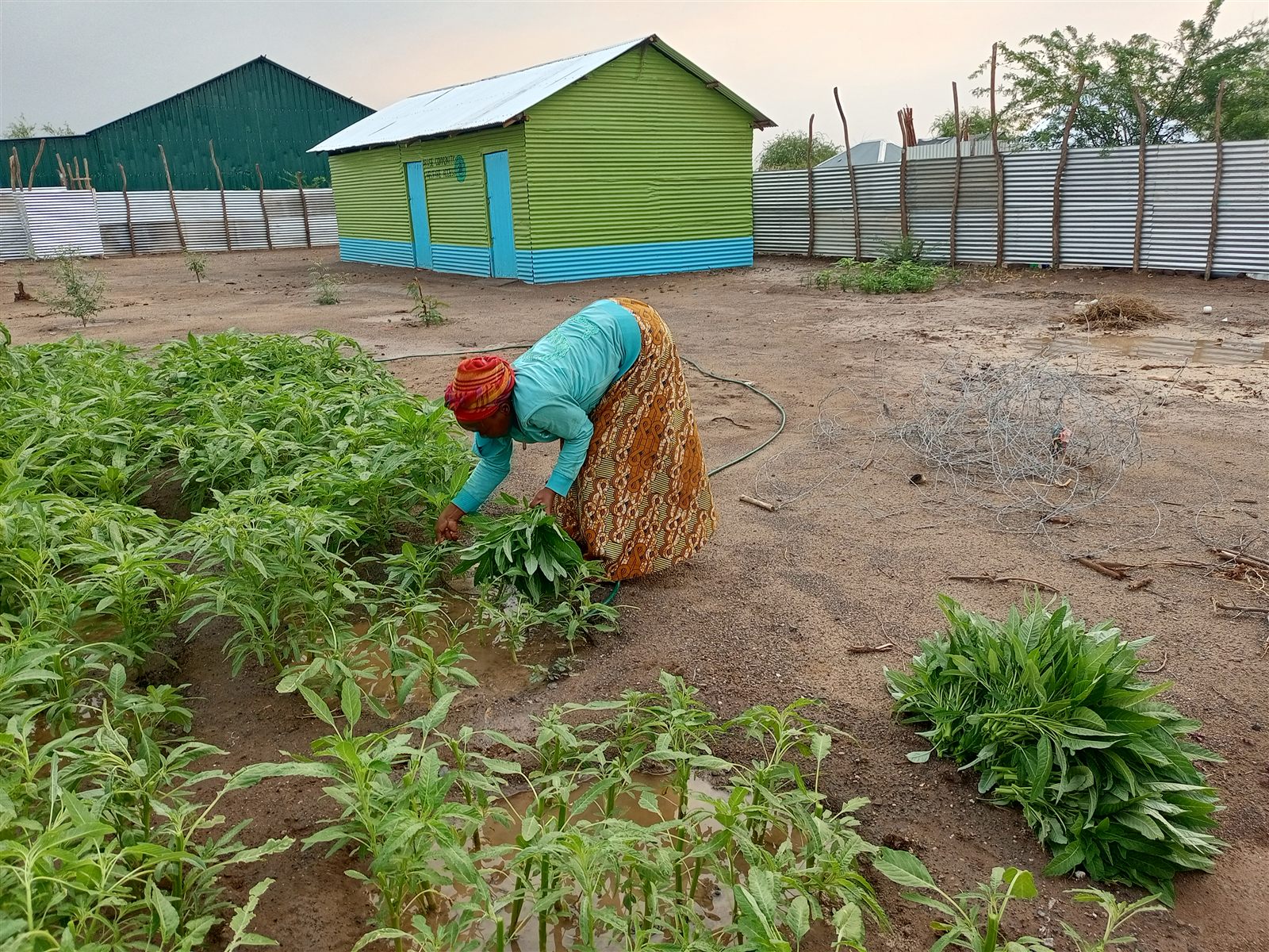 Agricultural & Food Security